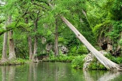 Kraus Lake Swimming Spot